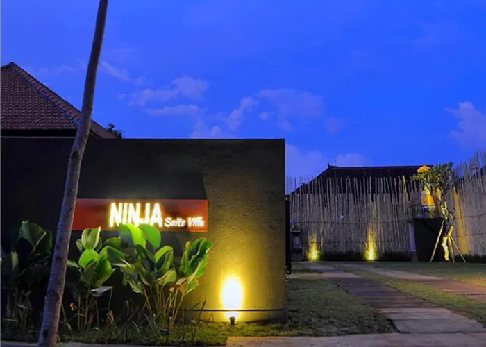 Ninja Denpasar