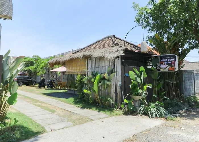 Ninja Denpasar